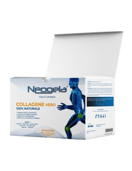 NEOGELA 28 BUSTE