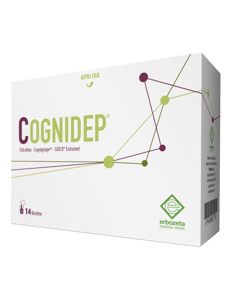 COGNIDEP 14 BUSTINE