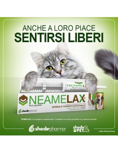 NEAMELAX PASTA 30 G