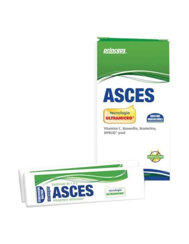 ASCES 10 BUSTE