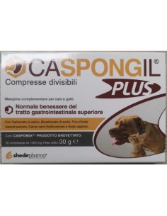 CASPONGIL PLUS 30 COMPRESSE