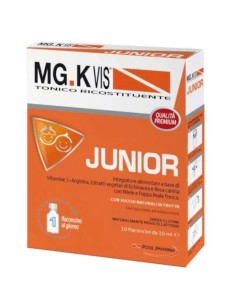 MGK VIS TONICO RICOSTITUENTE JUNIOR 10 FLACONCINI DA 10 ML
