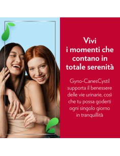GYNO-CANESCYSTIL CISTIPRO 14 BUSTINE 2