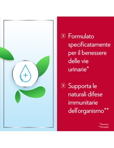 GYNO-CANESCYSTIL CISTIPRO 14 BUSTINE