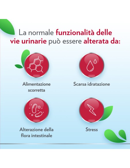 GYNO-CANESCYSTIL CISTIPRO 14 BUSTINE