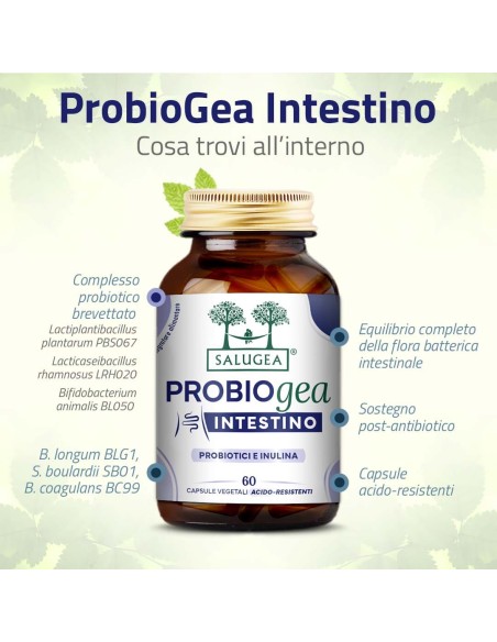 PROBIOGEA INTESTINO SALUGEA 60 CAPSULE