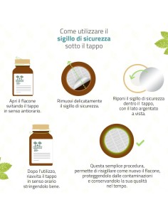 REFLUGEA RAPIDO SALUGEA 45 COMPRESSE MASTICABILI DA 1380 MG 2