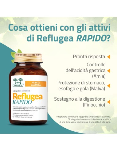 REFLUGEA RAPIDO SALUGEA 45 COMPRESSE MASTICABILI DA 1380 MG