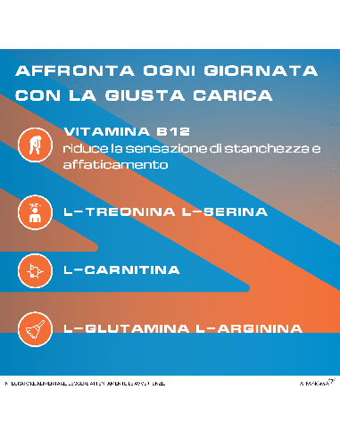 REKORD B12 PLUS 10 FLACONCINI 10 ML
