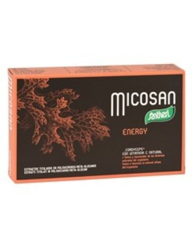 MICOXAN ENERGY 40 CAPSULE