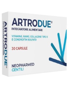 ARTRODUE 30 CAPSULE 0,2 G