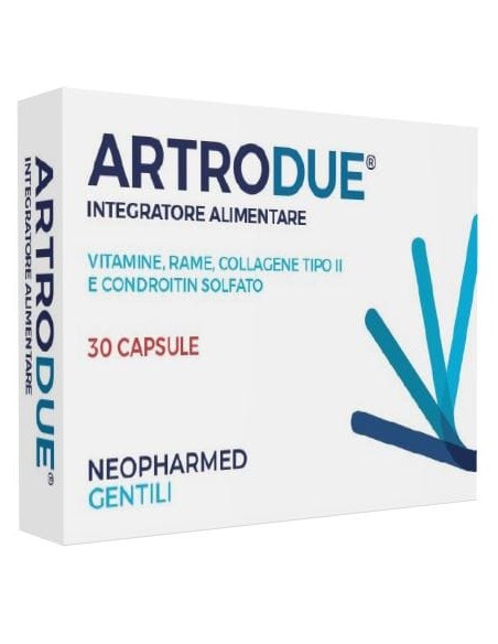 ARTRODUE 30 CAPSULE 0,2 G