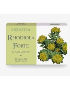 RHODIOLA FORTE 24 CAPSULE