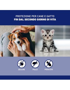 Frontline Spray 250ml, Protegge Cani, Gatti e Cuccioli dal Secondo Giorno di Vita Da Pulci, Zecche E Pidocchi