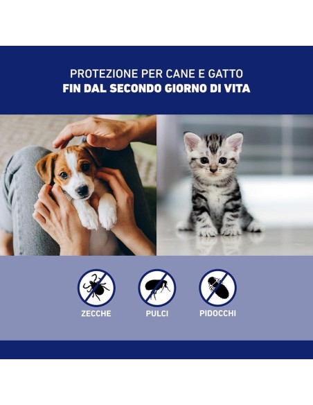 Frontline Spray 250ml, Protegge Cani, Gatti e Cuccioli dal Secondo Giorno di Vita Da Pulci, Zecche E Pidocchi
