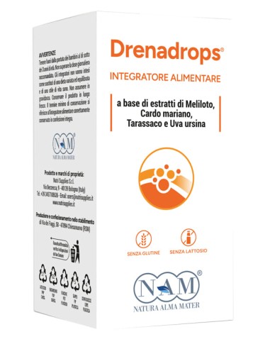 DRENADROPS SOLUZIONE IDROALCOLICA 100 ML