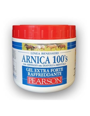 ARNICA 100'S GEL EXTRA FORTE RAFFREDDANTE 500 ML