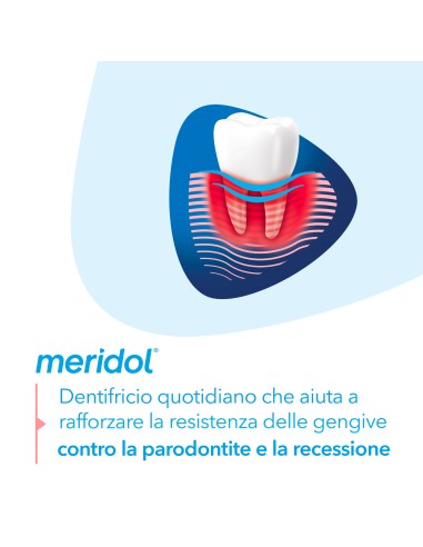 MERIDOL PARODONT EXPERT DENTIFRICIO 75 ML
