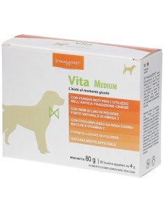 VITA 20 BUSTINE DA 4 G