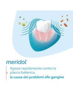 MERIDOL COLLUTORIO 100 ML 2