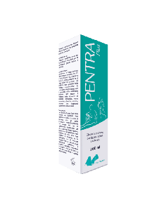PENTRA PLUS EMULSIONE DETERGENTE
