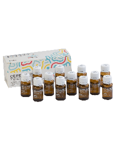 CEREBRAIN 12 FLACONCINI DA 10 ML