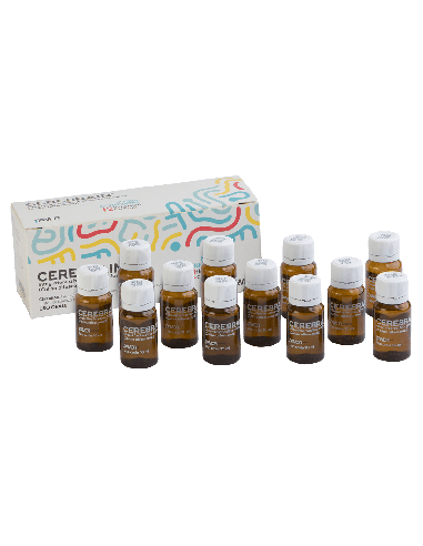 CEREBRAIN 12 FLACONCINI DA 10 ML