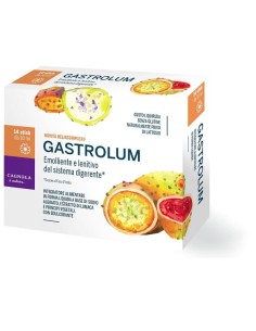 GASTROLUM 14 STICK DA 10 ML