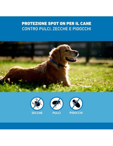 FRONTLINE*3PIP 20-40KG CANI