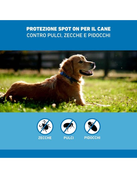 FRONTLINE*3PIP 20-40KG CANI