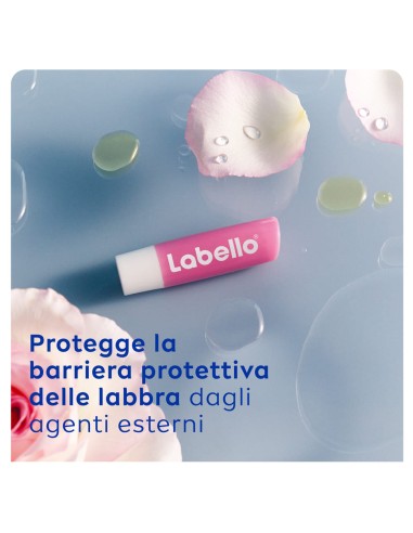 LABELLO SOFT ROSE 5,5 ML