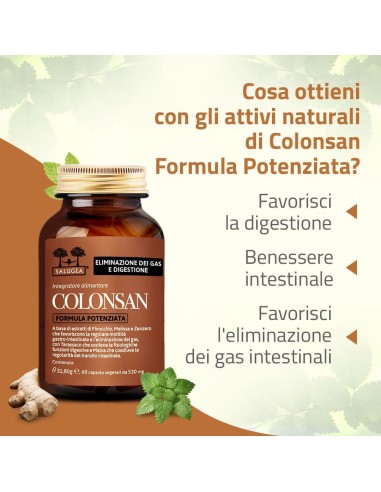 SALUGEA COLONSAN FORMULA POTENZIATA 60 CAPSULE