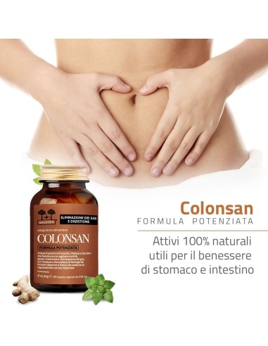 SALUGEA COLONSAN FORMULA POTENZIATA 60 CAPSULE