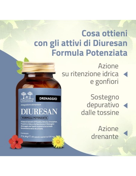 SALUGEA DIURESAN FORMULA POTENZIATA 60 CAPSULE