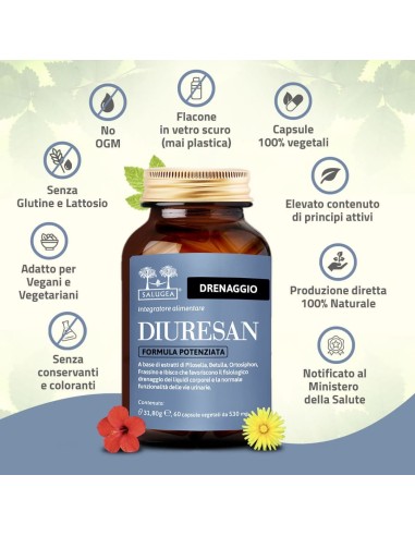 SALUGEA DIURESAN FORMULA POTENZIATA 60 CAPSULE