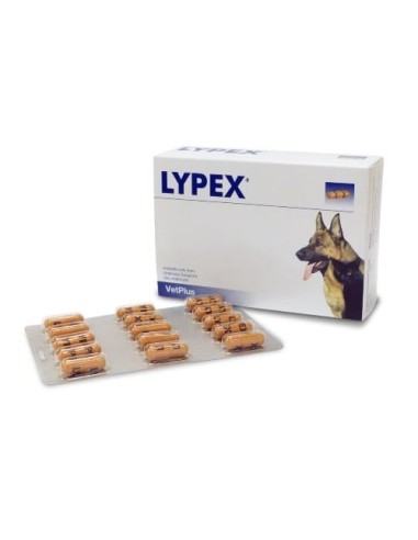 LYPEX 60 CAPSULE