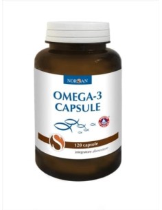 NORSAN OMEGA 3 120 CAPSULE