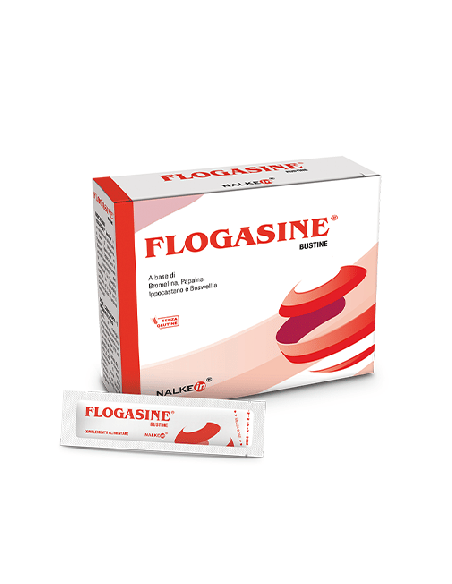 FLOGASINE 20 BUSTINE