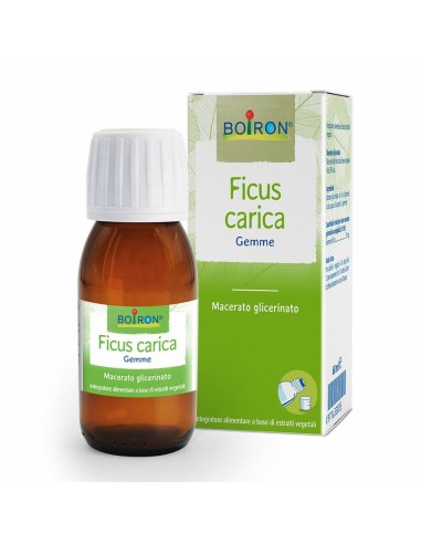 FICUS CARICA BOIRON MACERATO GLICERICO 60 ML