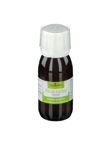 FICUS CARICA BOIRON MACERATO GLICERICO 60 ML