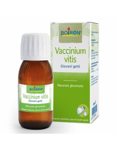 VACCINIUM VITIS MACERATO GLICERICO 60 ML