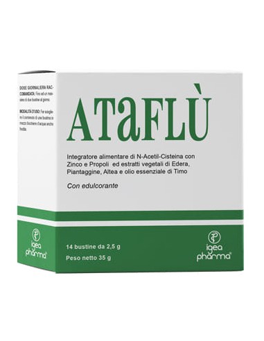ATAFLU' 14 BUSTINE