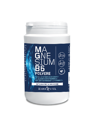 MAGNESIUM B6 POLVERE 200 G