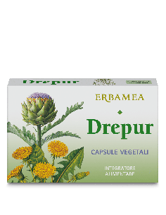 DREPUR 24 CAPSULE