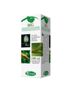 RIBES MACERATO GLICERICO 100 ML