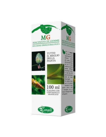 RIBES MACERATO GLICERICO 100 ML
