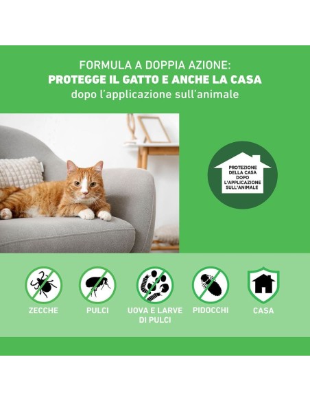 Frontline Combo Gatti x1 Pipetta, Antiparassitario per Gatti, Gattini e Furetti, Contro Pulci, Zecche, Uova, Larve e Pidocchi