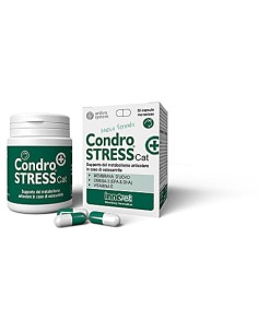 CONDROSTRESS + CAT 30 CAPSULE MONODOSE