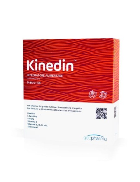 KINEDIN 14 BUSTINE