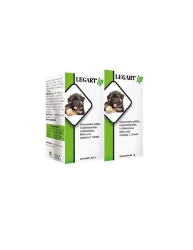 LEGART UP 120 COMPRESSE